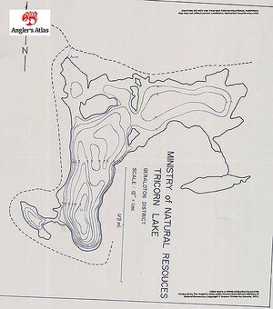 Contour map for Tricorn Lake, Ontario