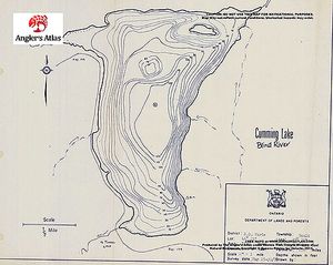 Contour map for Cumming's Lake, Ontario