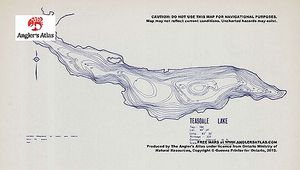 Contour map for Teasdale Lake, Ontario