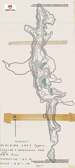 Contour map for Dividing Lake, Ontario