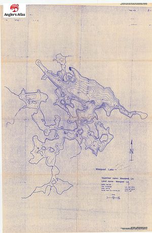 Contour map for Weequed Lake, Ontario