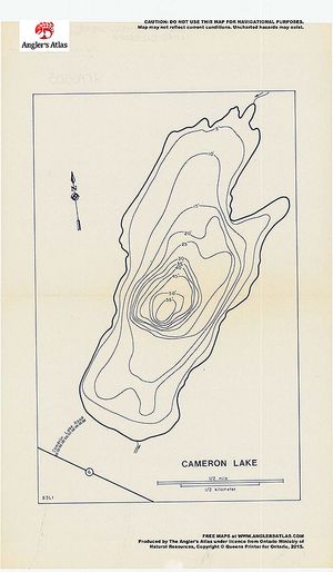 Contour map for Cameron, Ontario