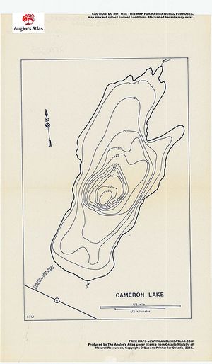 Contour map for Cameron, Ontario
