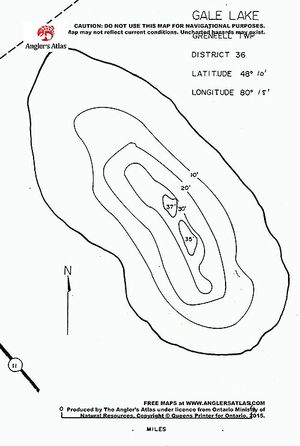 Contour map for Gale Lake, Ontario