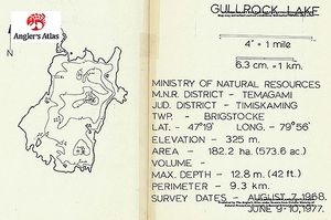 Contour map for Gullrock Lake, Ontario