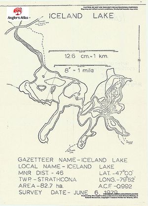 Contour map for Iceland Lake, Ontario