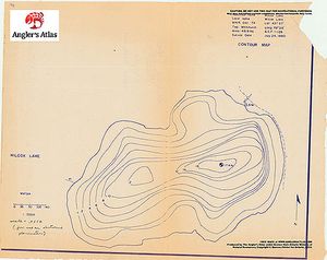 Contour map for Wilcox Lake, Ontario