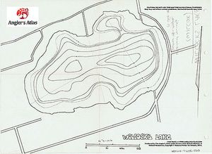 Contour map for Wilcox Lake, Ontario