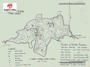 Contour map for Pine Lake, Ontario