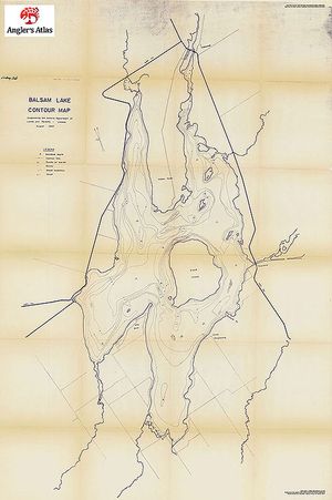 Balsam Lake Fishing Map Balsam Lake, Ontario | Angler's Atlas