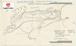 Contour map for Little Gull Lake, Ontario