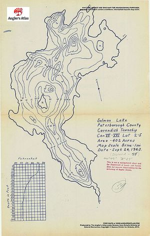 Contour map for Salmon Lake, Ontario