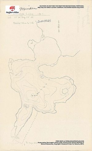 Contour map for Billings Lake, Ontario