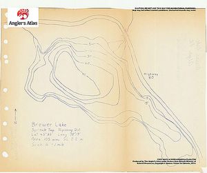 Contour map for Brewer Lake, Ontario