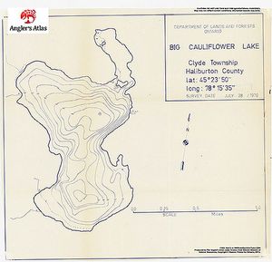 Contour map for Big Cauliflower Lake, Ontario