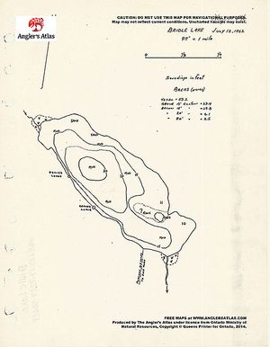 Contour map for Bridle Lake, Ontario