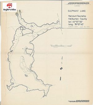 Contour map for Elephant Lake, Ontario