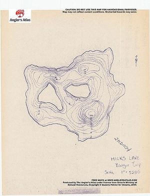 Contour map for Hicks Lake, Ontario