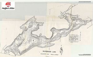 Contour map for Palmerston Lake, Ontario