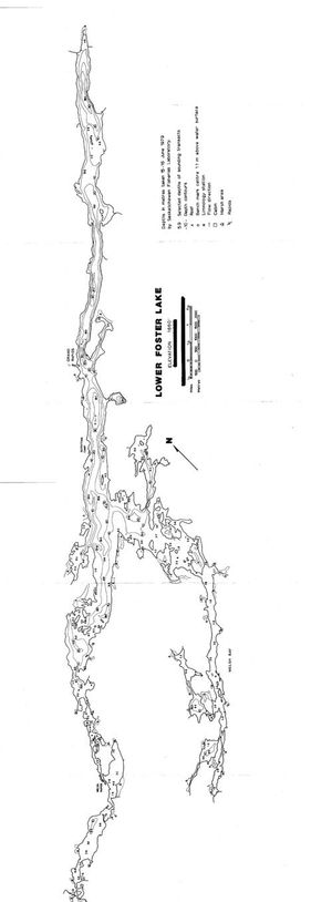 Contour map for Lower Foster Lake, Saskatchewan