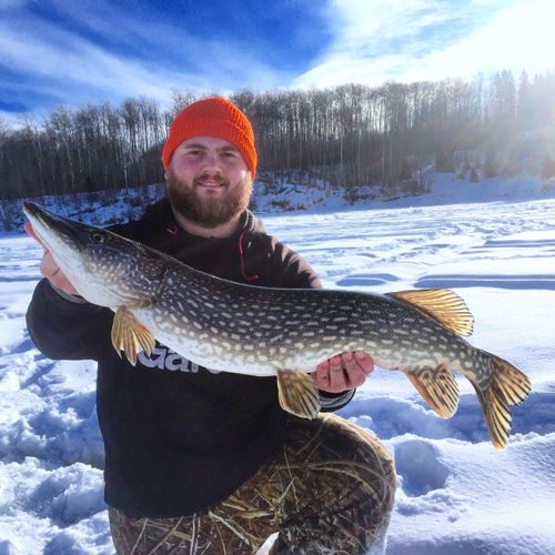 FAWCETT LAKE, Alberta Angler's Atlas