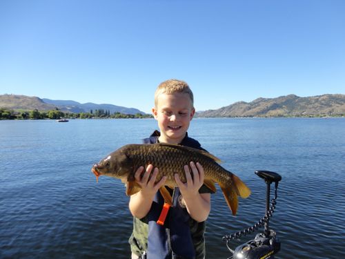 Osoyoos Lake British Columbia Angler S Atlas Osoyoos Lake British Columbia Angler S Atlas