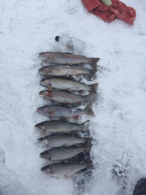 MCLEOD LAKE, Alberta Angler's Atlas