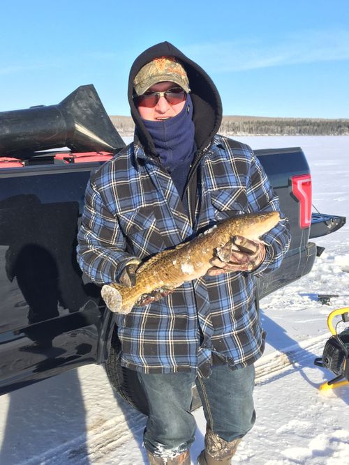 Pierce Lake, Saskatchewan Angler's Atlas