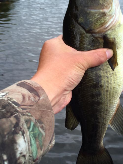 Limestone Lake, Ontario Angler's Atlas