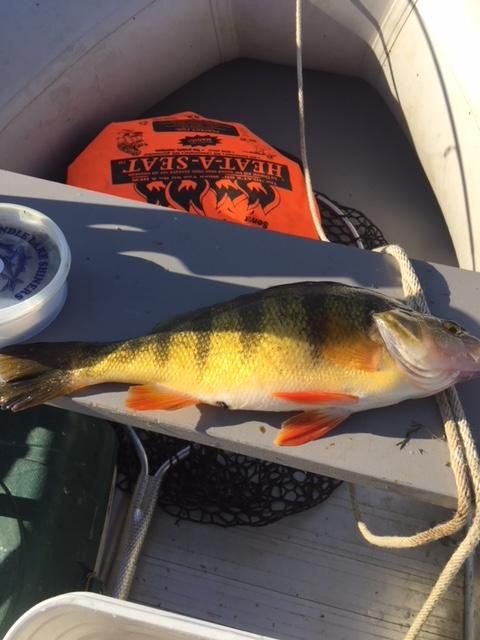 Lesser Slave Lake, Alberta Angler's Atlas