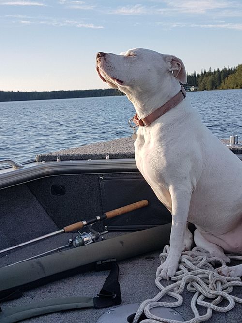 One Island Lake, British Columbia Angler's Atlas