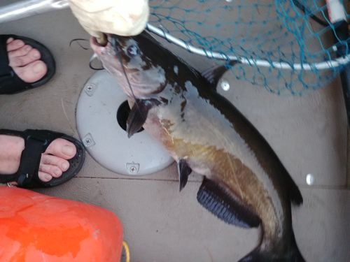Black Donald Lake, Ontario Angler's Atlas