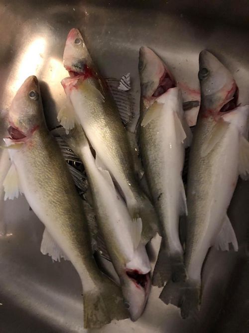 Desbarats Lake, Ontario Angler's Atlas