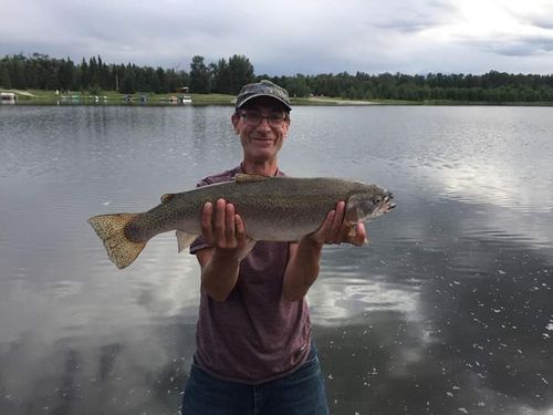 Spring Lake Alberta Angler S Atlas