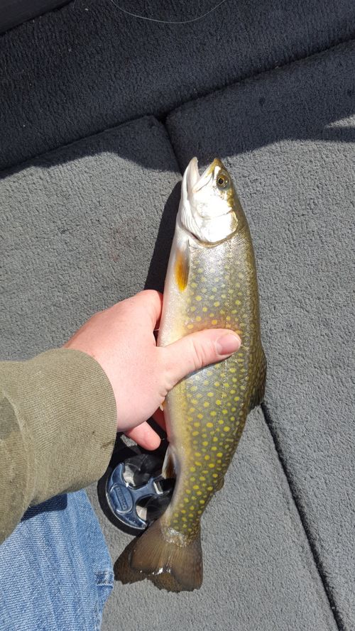 Dog Lake, Ontario Angler's Atlas