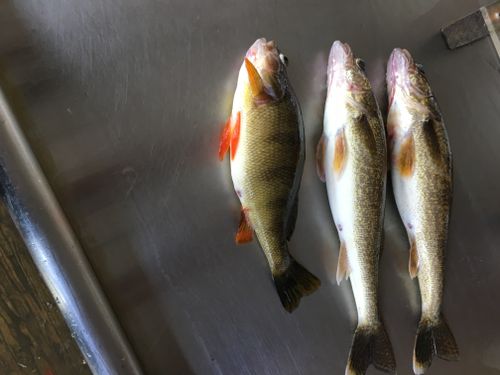 LESSER SLAVE LAKE, Alberta Angler's Atlas