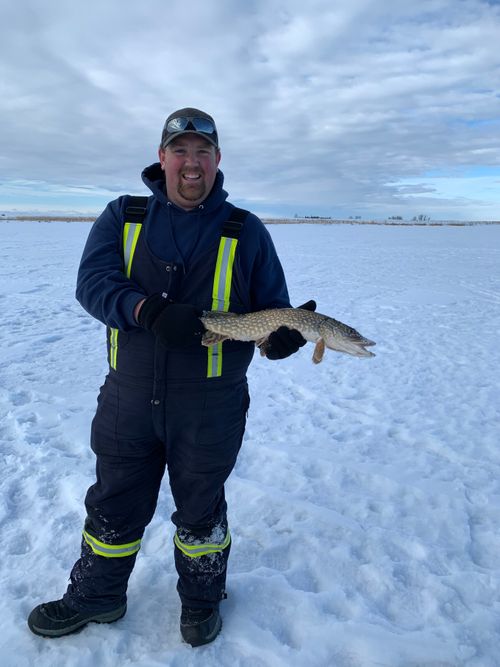 Dalemead Lake, Alberta Angler's Atlas