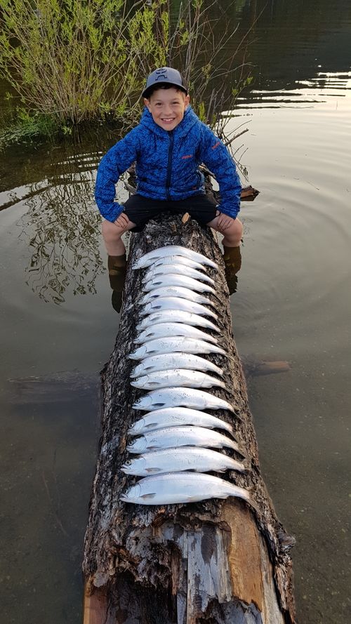 MCLEESE LAKE, British Columbia Angler's Atlas