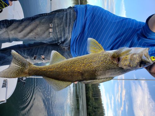 CHARLIE LAKE, British Columbia Angler's Atlas