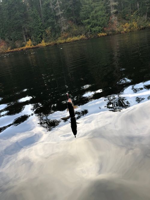 SPECTACLE LAKE, British Columbia Angler's Atlas