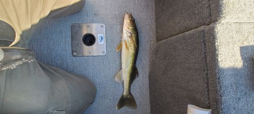 LESSER SLAVE LAKE, Alberta Angler's Atlas