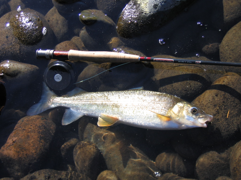 Canada British Columbia mountain lake anglers Saibling North